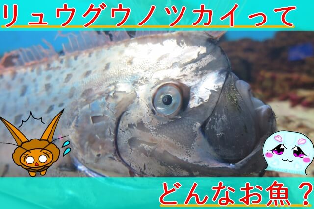 Thumbnail of post image 055